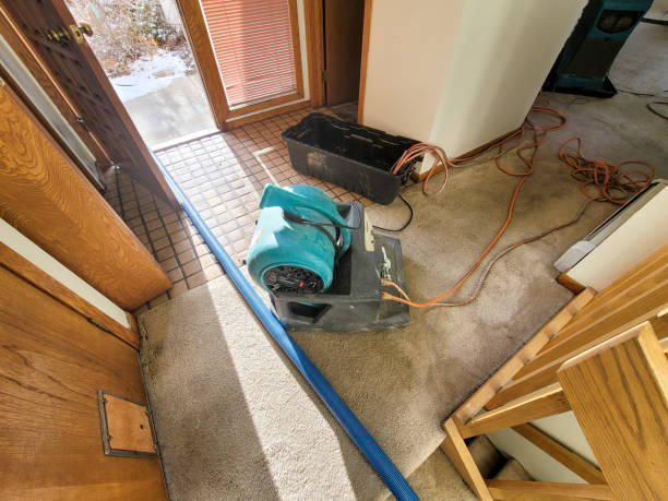Best Ceiling water damage repair  in Ken Caryl, CO