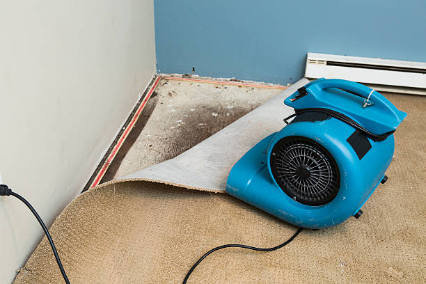 Best Water damage restoration near me  in Ken Caryl, CO